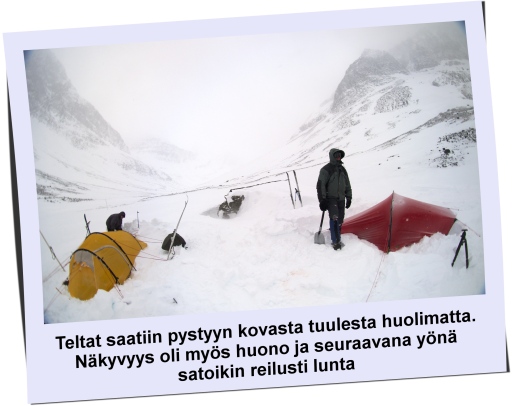 Teltat pystyyn 
tuulesta huolimatta...